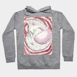 Cute kitten sleeping pink Hoodie